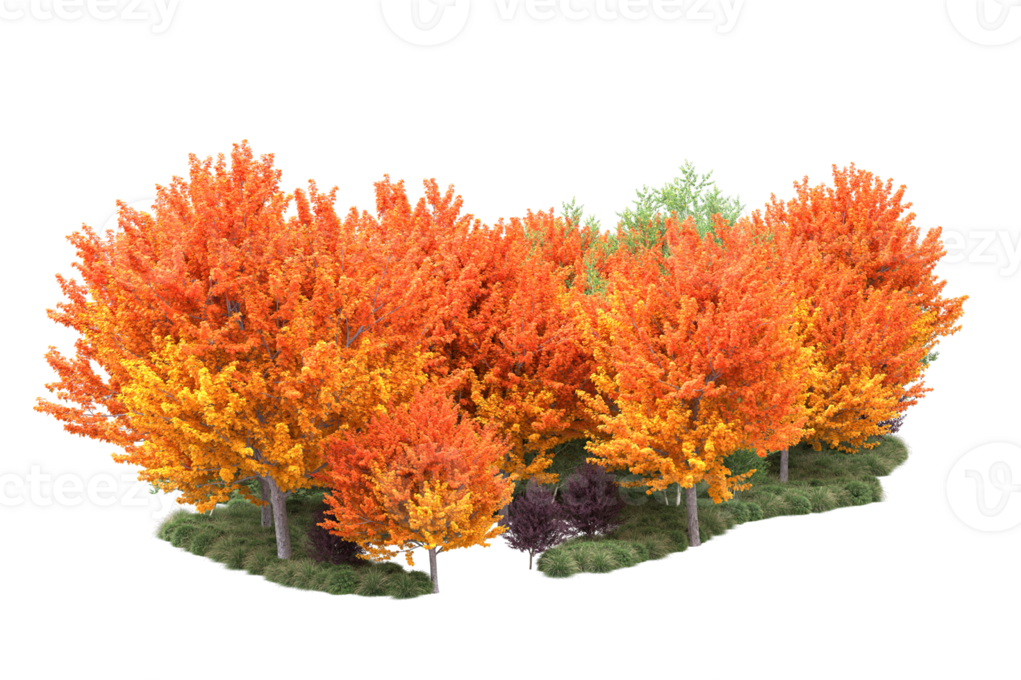 Tropical forest isolated on transparent background. 3d rendering - illustration png