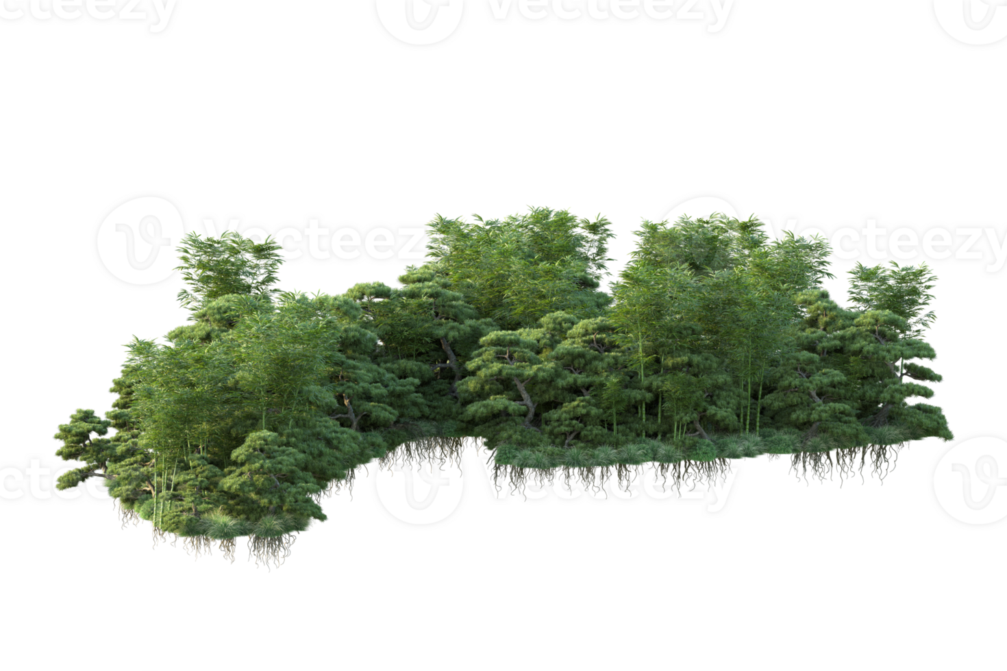 Tropical forest isolated on transparent background. 3d rendering - illustration png