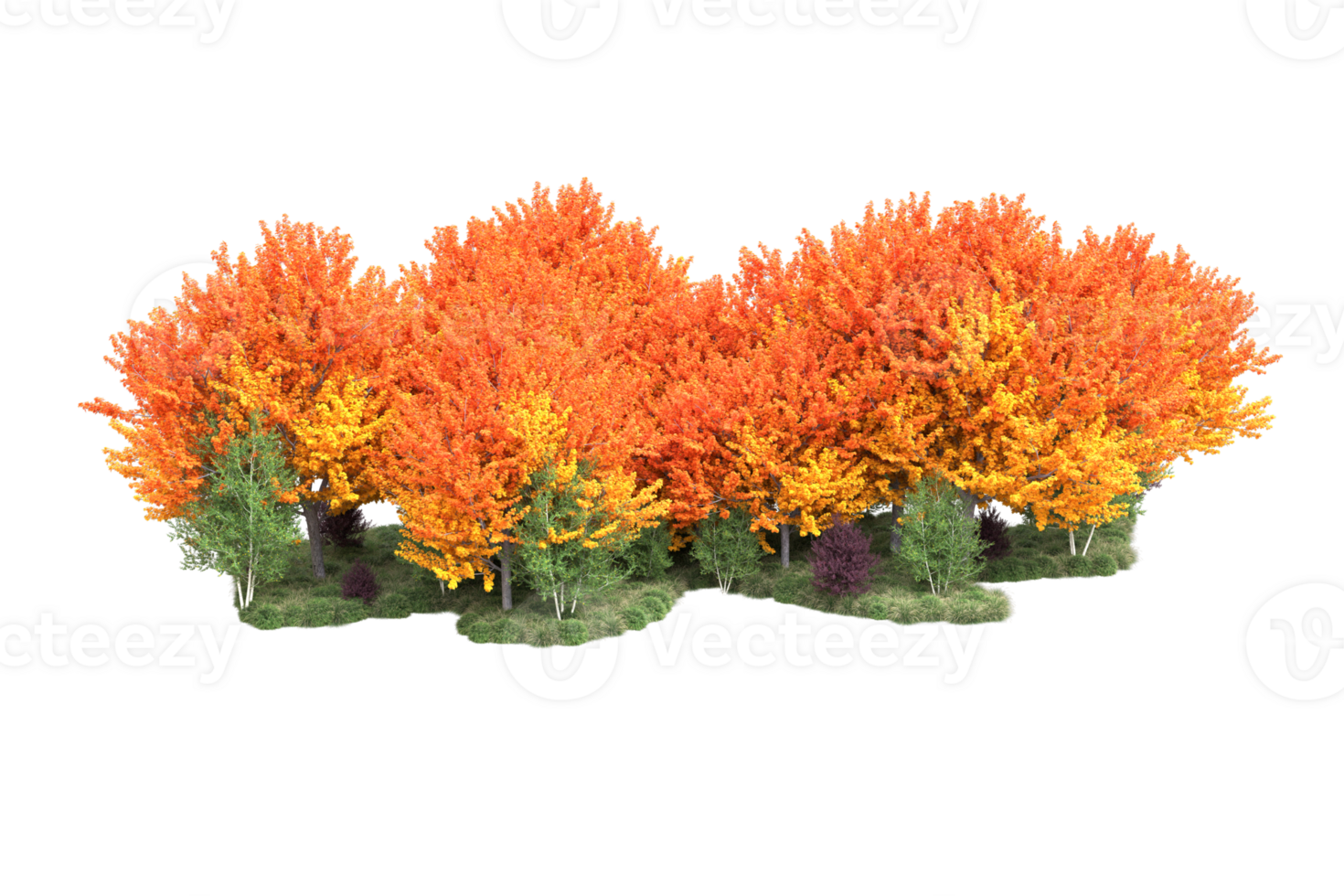 Tropical forest isolated on transparent background. 3d rendering - illustration png