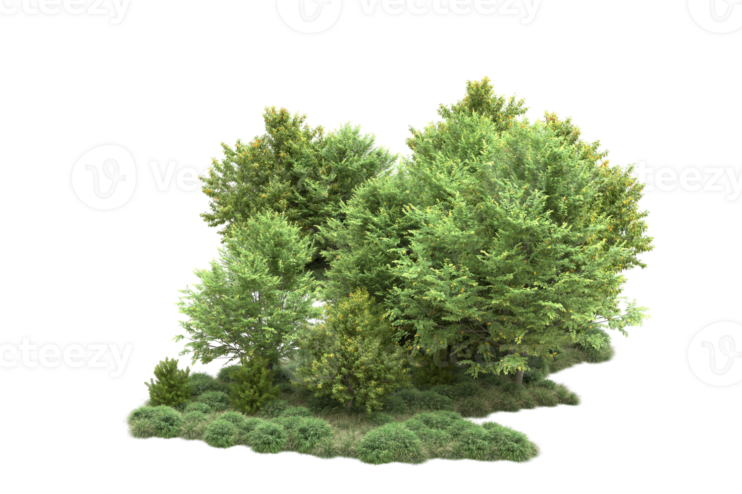 Tropical forest isolated on transparent background. 3d rendering - illustration png