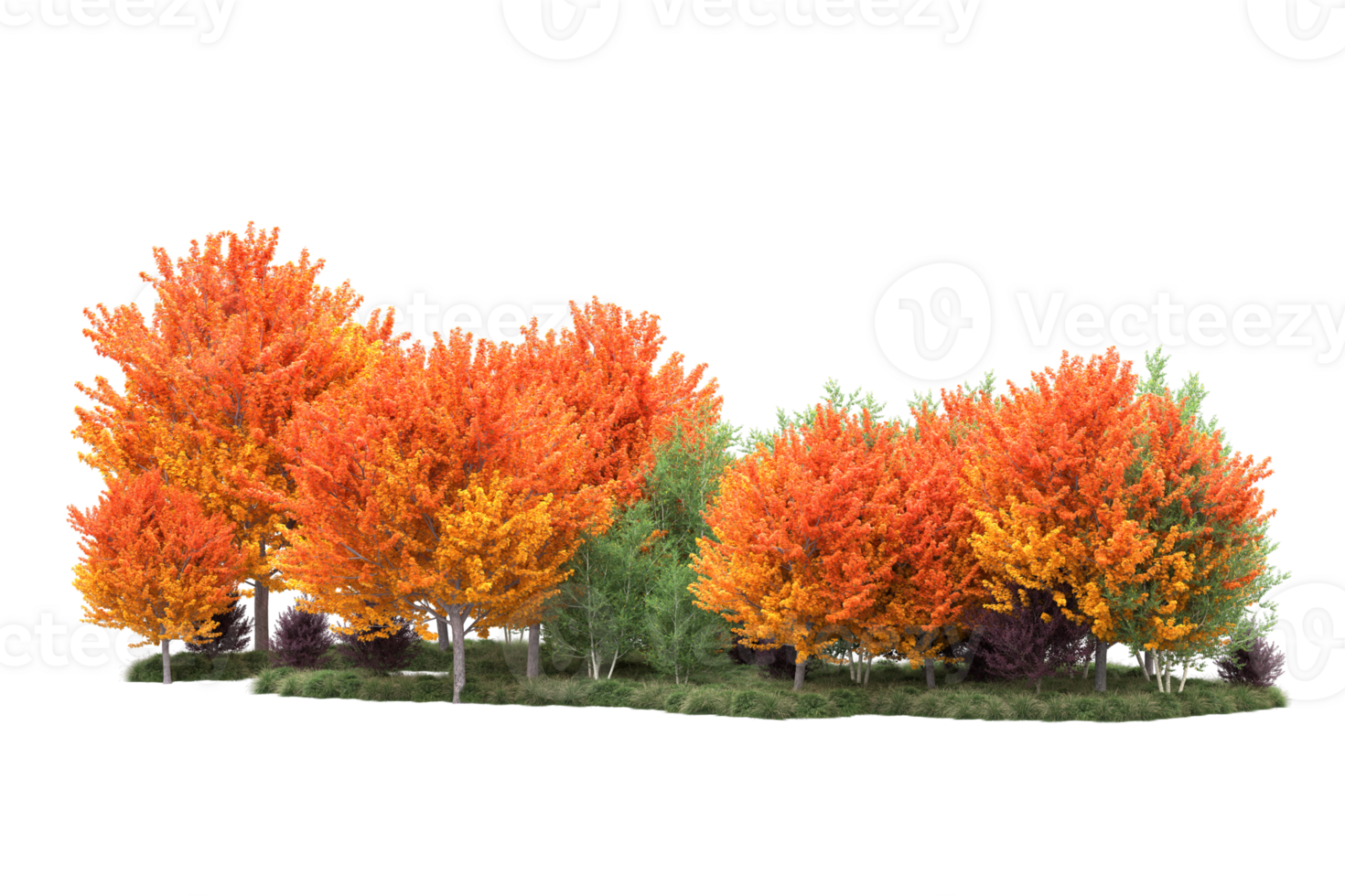 Tropical forest isolated on transparent background. 3d rendering - illustration png