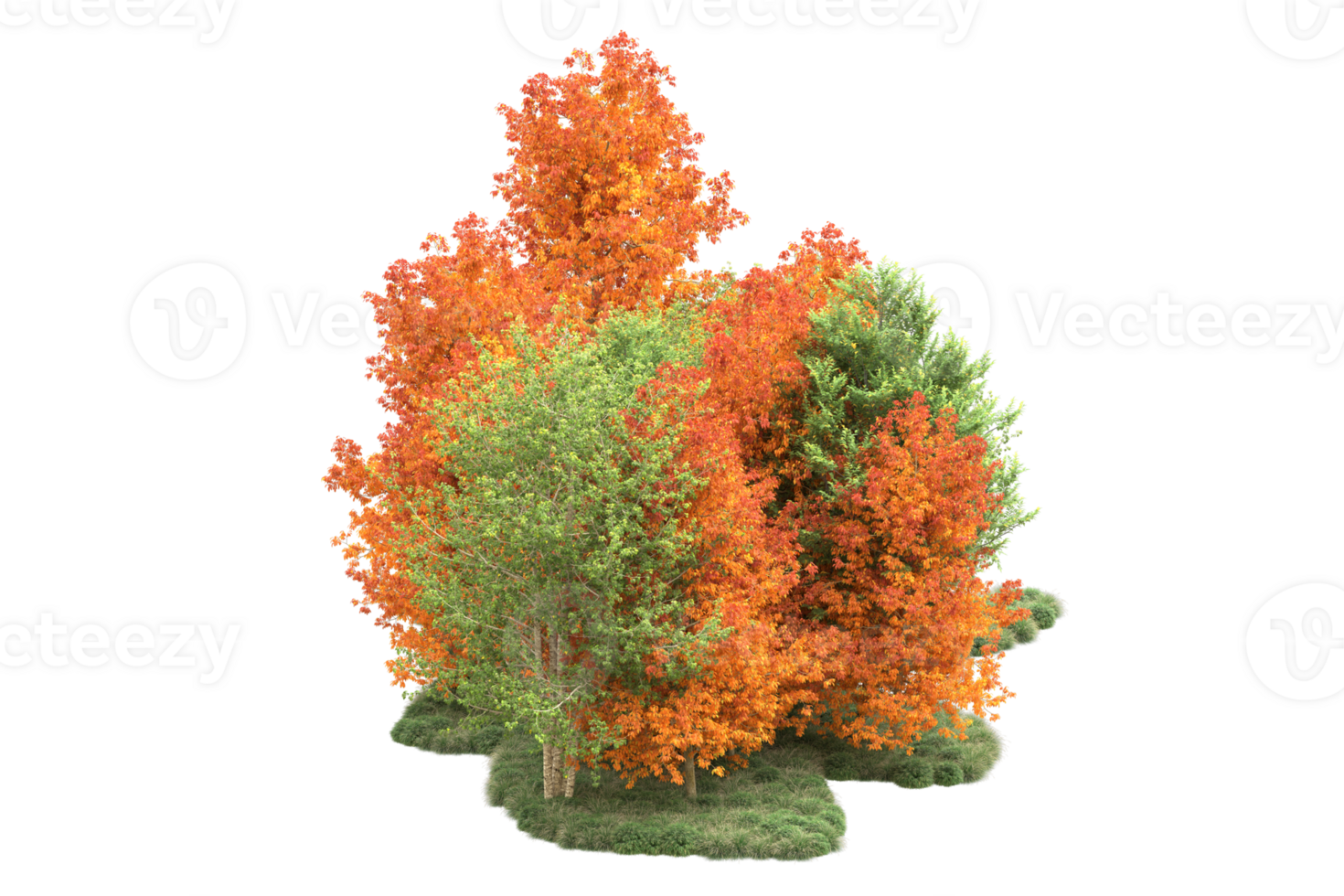 Tropical forest isolated on transparent background. 3d rendering - illustration png