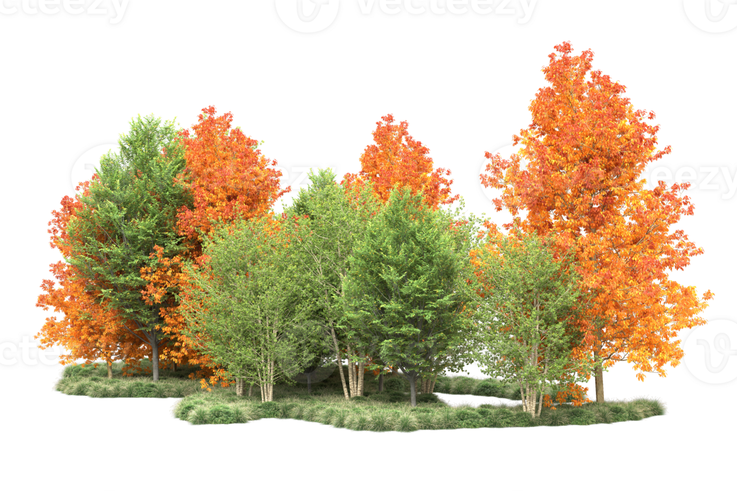Tropical forest isolated on transparent background. 3d rendering - illustration png