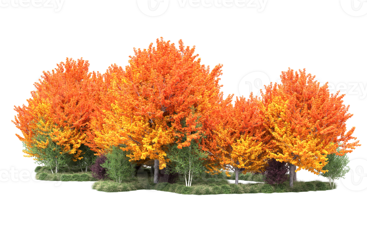 Tropical forest isolated on transparent background. 3d rendering - illustration png