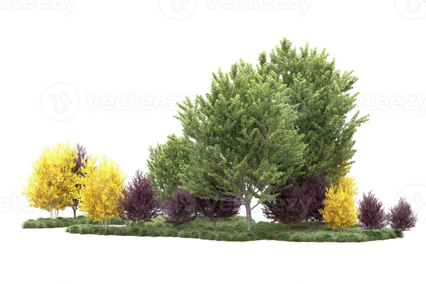 Tropical forest isolated on transparent background. 3d rendering - illustration png