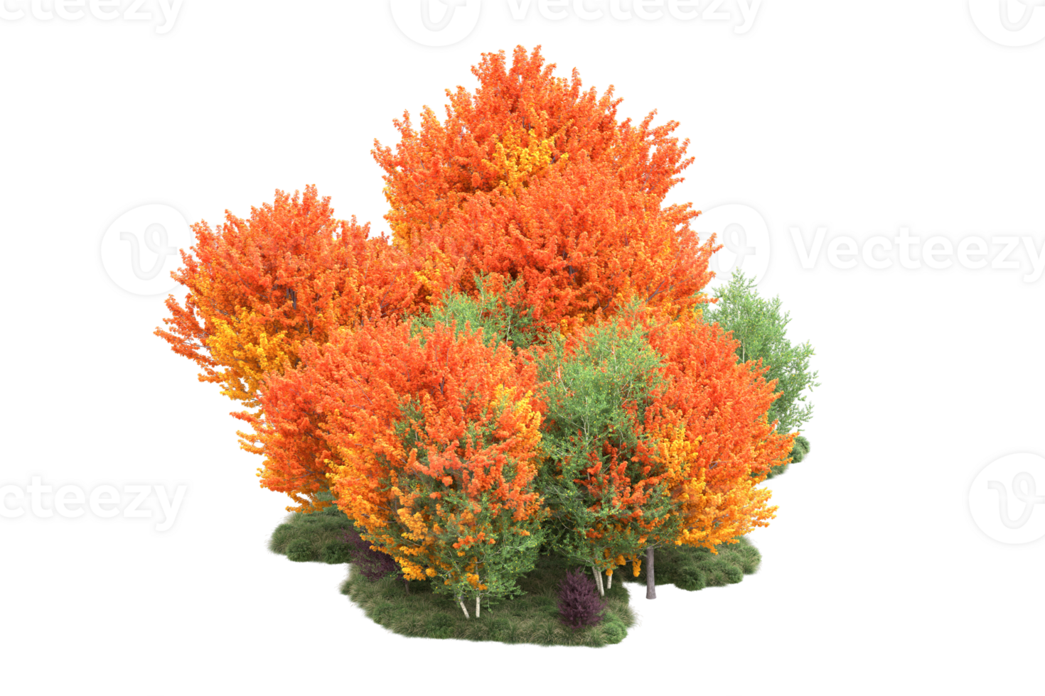 Tropical forest isolated on transparent background. 3d rendering - illustration png