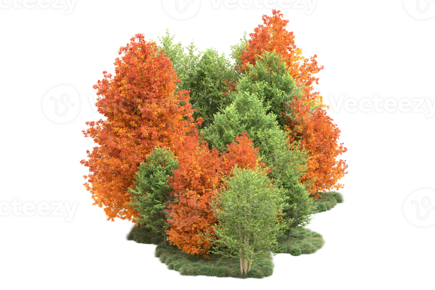 Tropical forest isolated on transparent background. 3d rendering - illustration png