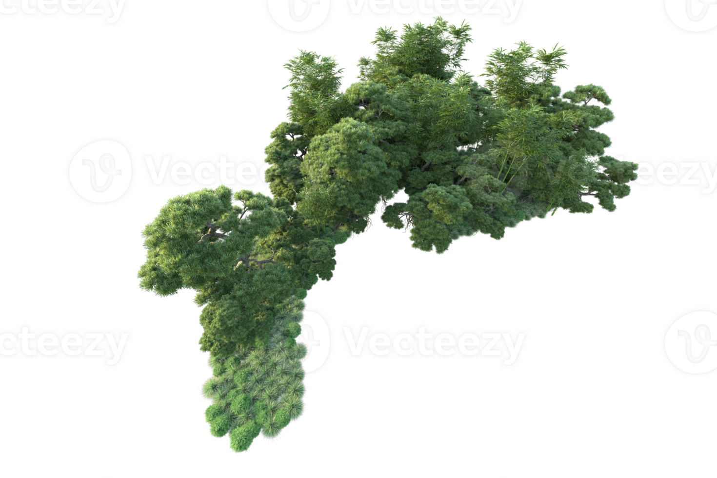 Tropical forest isolated on transparent background. 3d rendering - illustration png