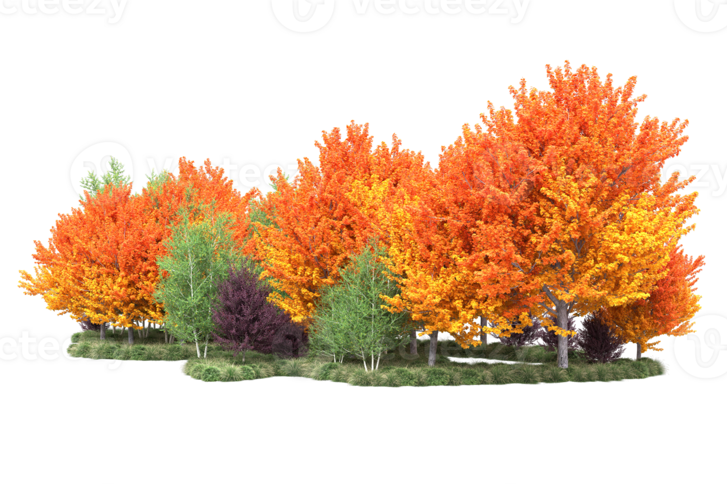 Tropical forest isolated on transparent background. 3d rendering - illustration png