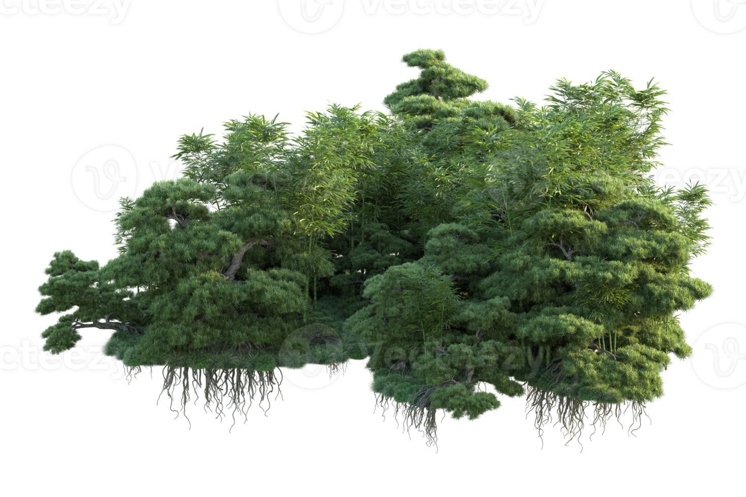 Tropical forest isolated on transparent background. 3d rendering - illustration png