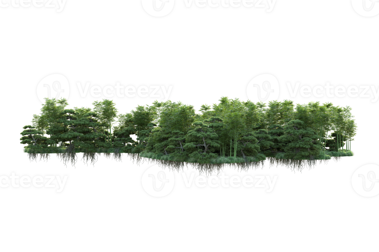 Tropical forest isolated on transparent background. 3d rendering - illustration png
