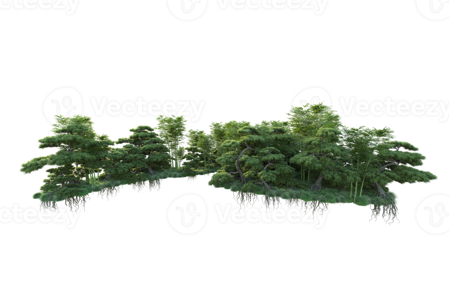 Tropical forest isolated on transparent background. 3d rendering - illustration png