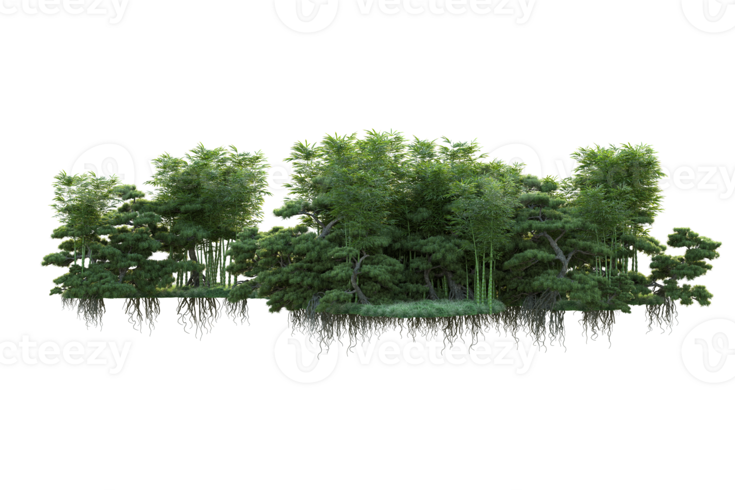 Tropical forest isolated on transparent background. 3d rendering - illustration png