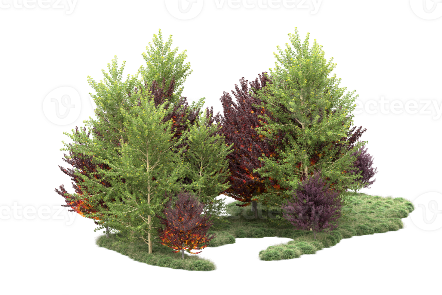 Tropical forest isolated on transparent background. 3d rendering - illustration png