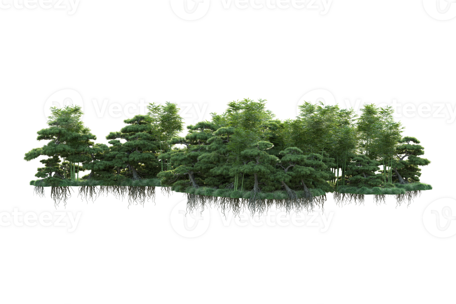 Tropical forest isolated on transparent background. 3d rendering - illustration png