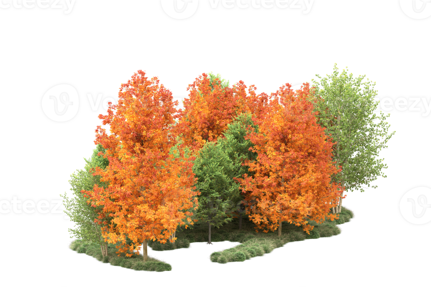 Tropical forest isolated on transparent background. 3d rendering - illustration png