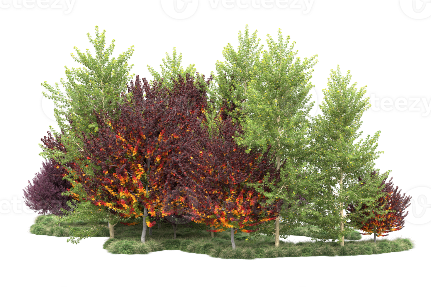 Tropical forest isolated on transparent background. 3d rendering - illustration png