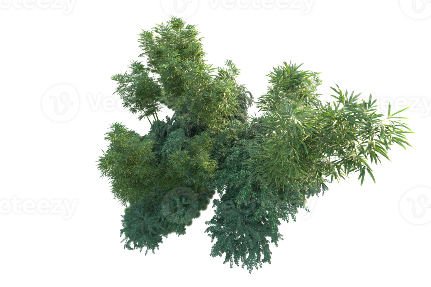 Tropical forest isolated on transparent background. 3d rendering - illustration png