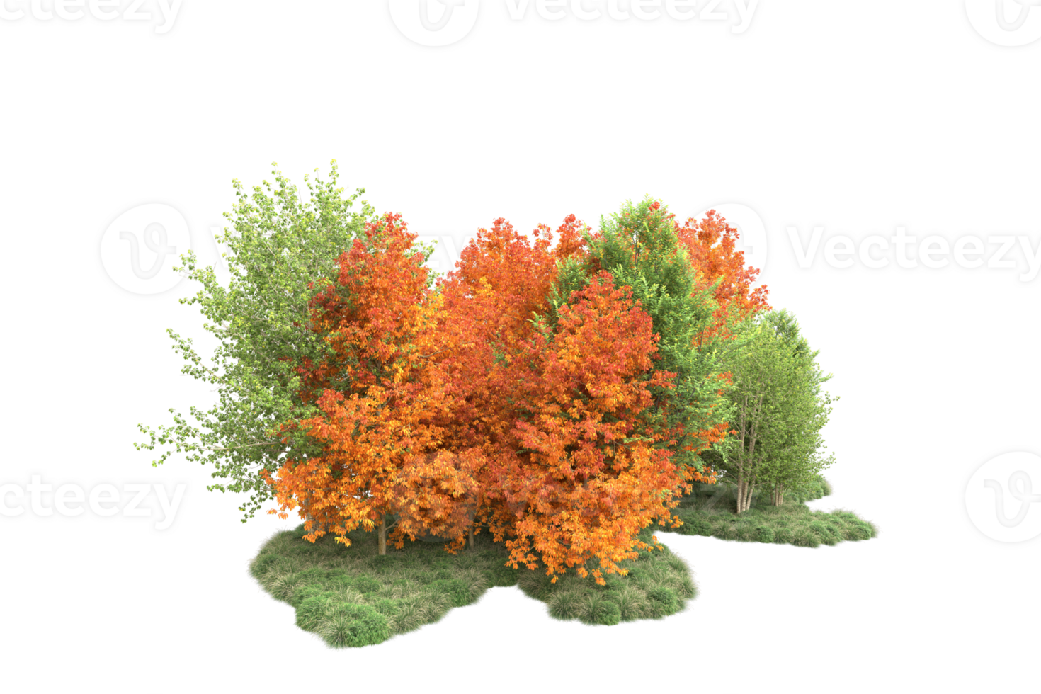 Tropical forest isolated on transparent background. 3d rendering - illustration png