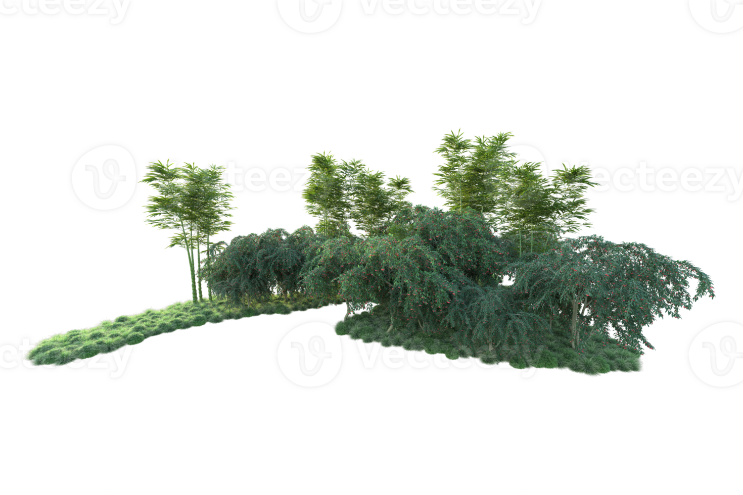 Tropical forest isolated on transparent background. 3d rendering - illustration png