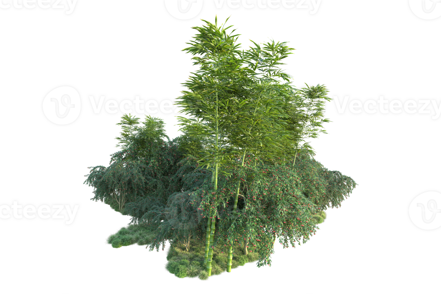 Tropical forest isolated on transparent background. 3d rendering - illustration png
