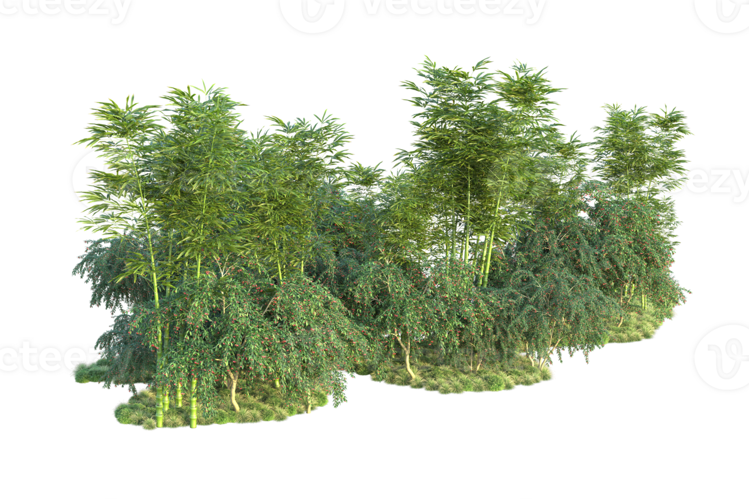 Tropical forest isolated on transparent background. 3d rendering - illustration png