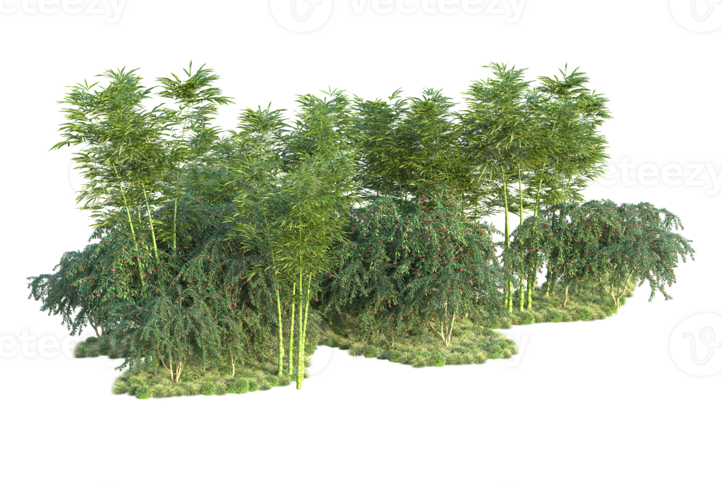 Tropical forest isolated on transparent background. 3d rendering - illustration png