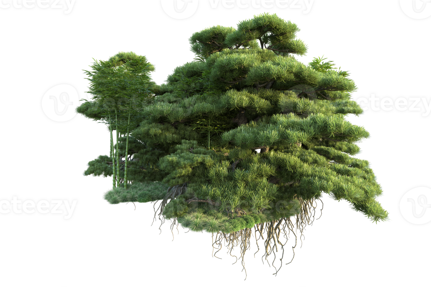 Tropical forest isolated on transparent background. 3d rendering - illustration png