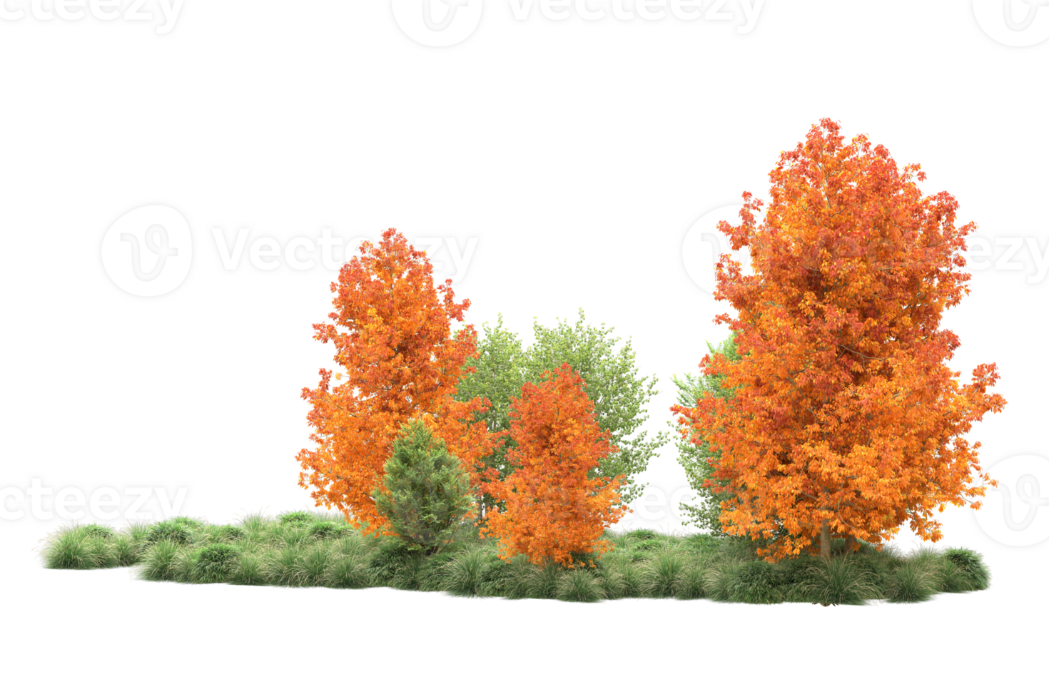 Tropical forest isolated on transparent background. 3d rendering - illustration png