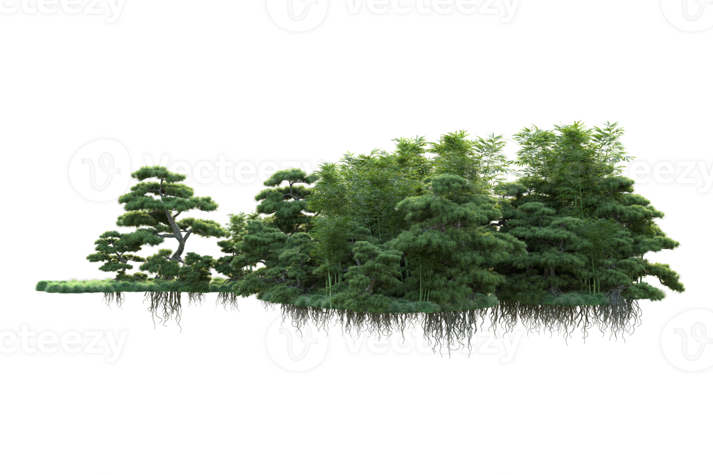 Tropical forest isolated on transparent background. 3d rendering - illustration png