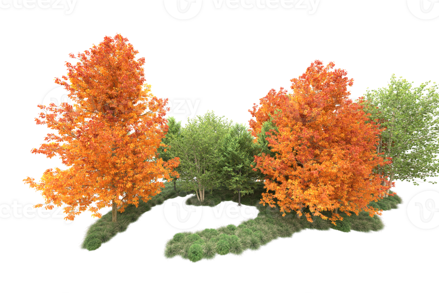 Tropical forest isolated on transparent background. 3d rendering - illustration png