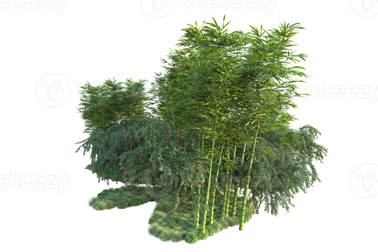 Tropical forest isolated on transparent background. 3d rendering - illustration png