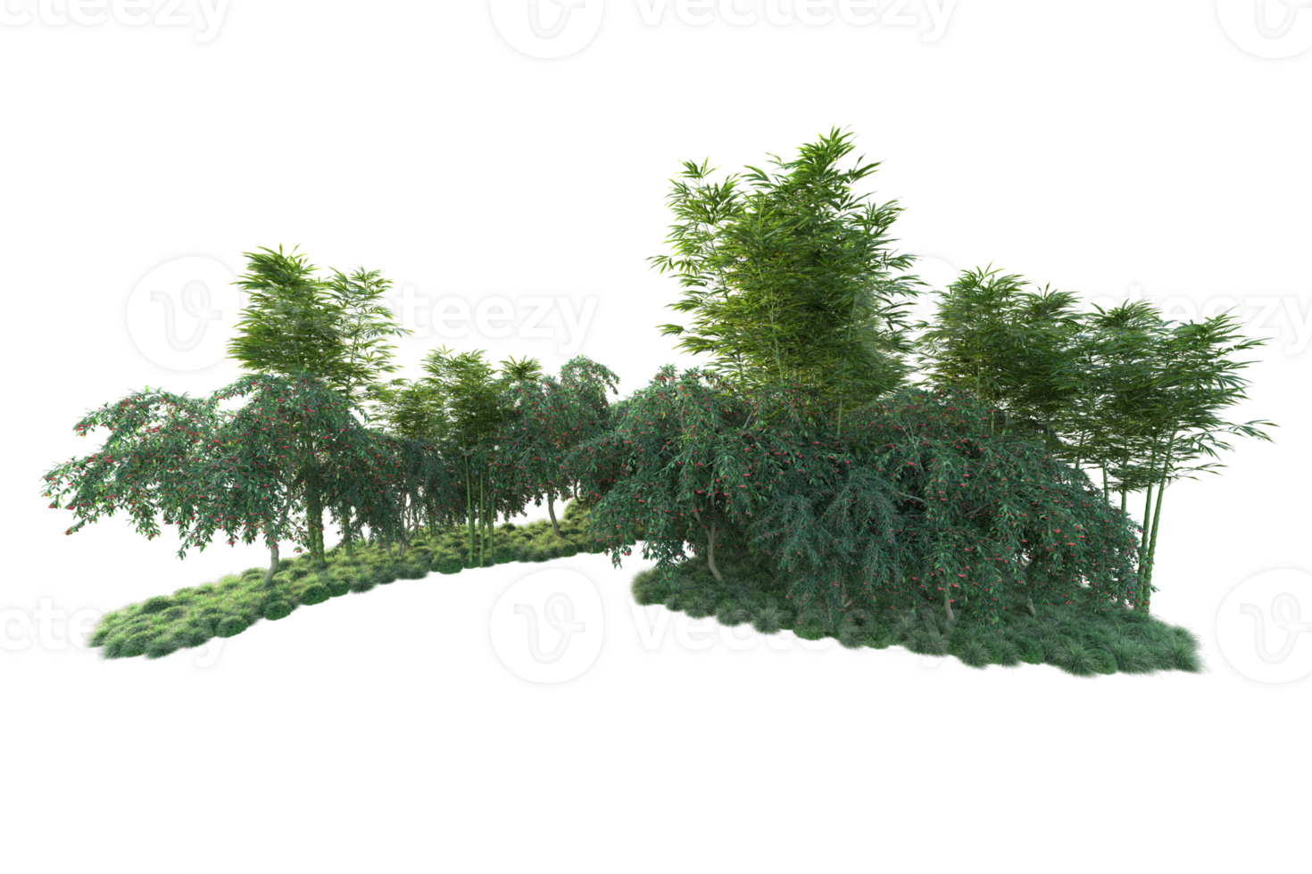 Tropical forest isolated on transparent background. 3d rendering - illustration png