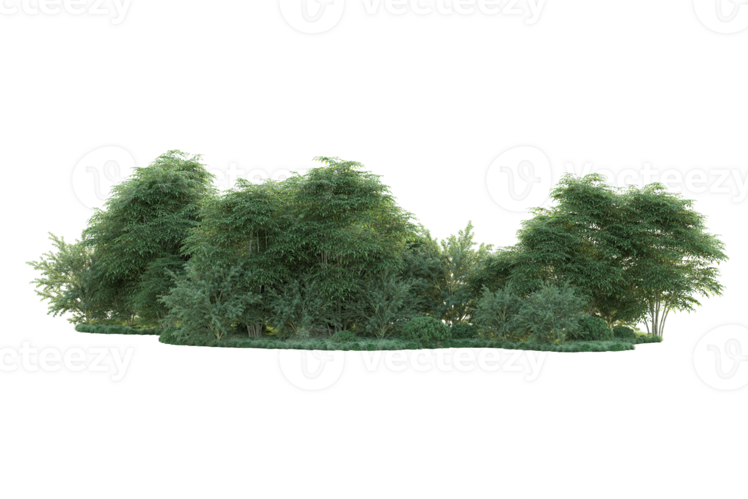 Tropical forest isolated on transparent background. 3d rendering - illustration png