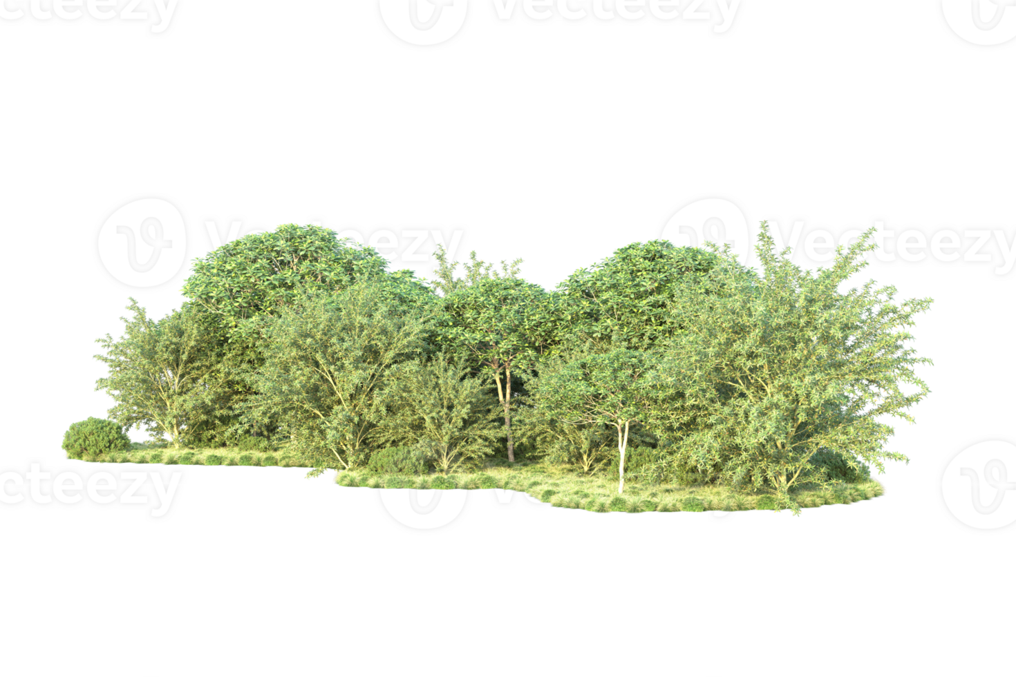 Tropical forest isolated on transparent background. 3d rendering - illustration png