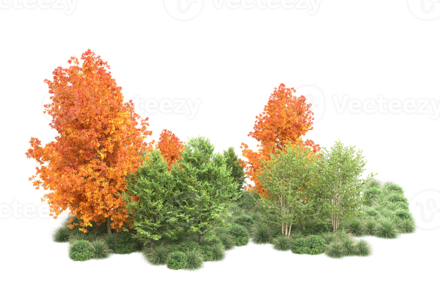 Tropical forest isolated on transparent background. 3d rendering - illustration png