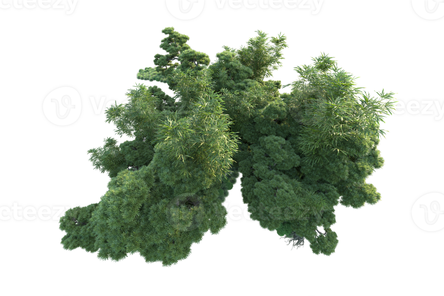Tropical forest isolated on transparent background. 3d rendering - illustration png