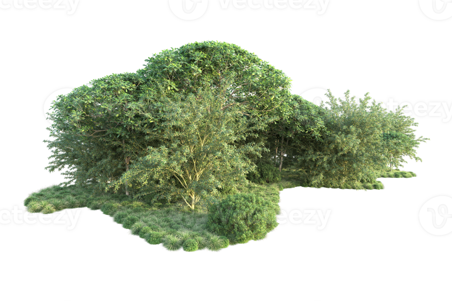 Tropical forest isolated on transparent background. 3d rendering - illustration png