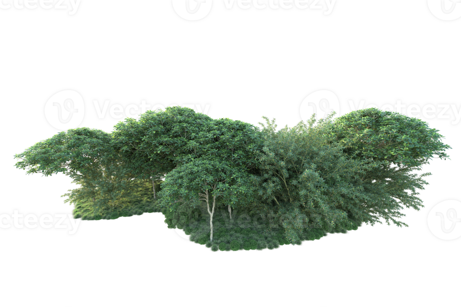 Tropical forest isolated on transparent background. 3d rendering - illustration png