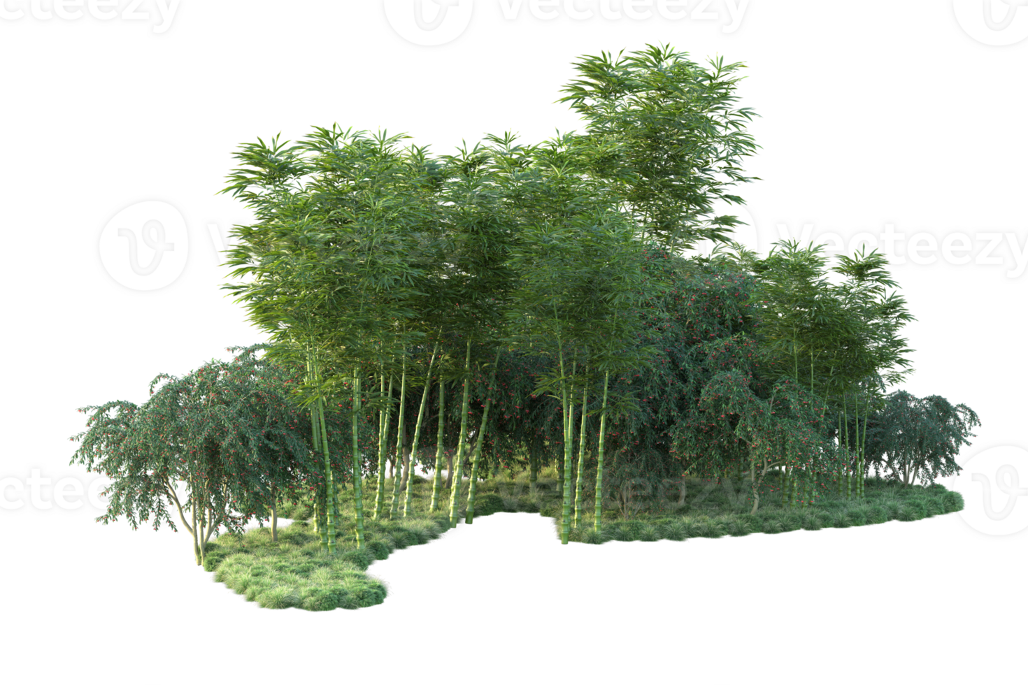 Tropical forest isolated on transparent background. 3d rendering - illustration png