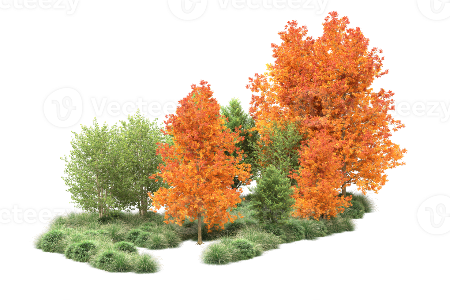 Tropical forest isolated on transparent background. 3d rendering - illustration png