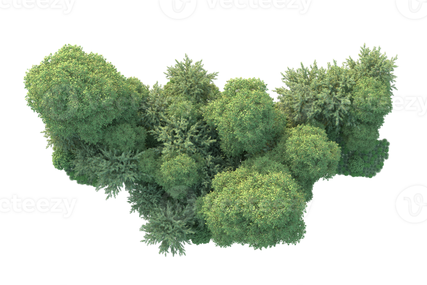 Tropical forest isolated on transparent background. 3d rendering - illustration png