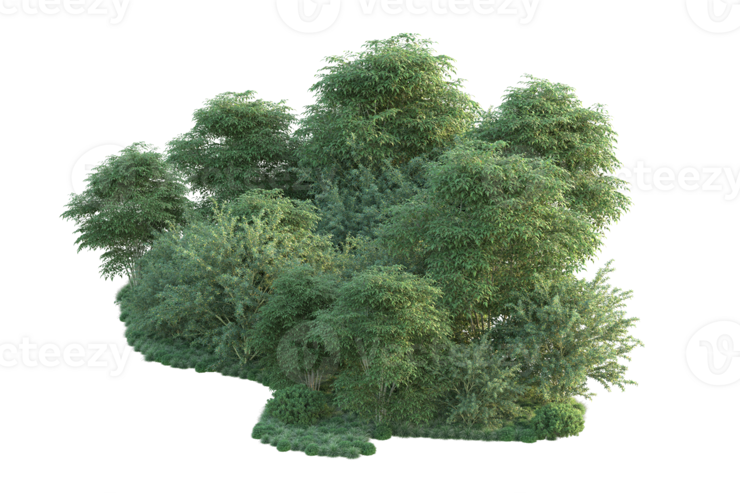 Tropical forest isolated on transparent background. 3d rendering - illustration png
