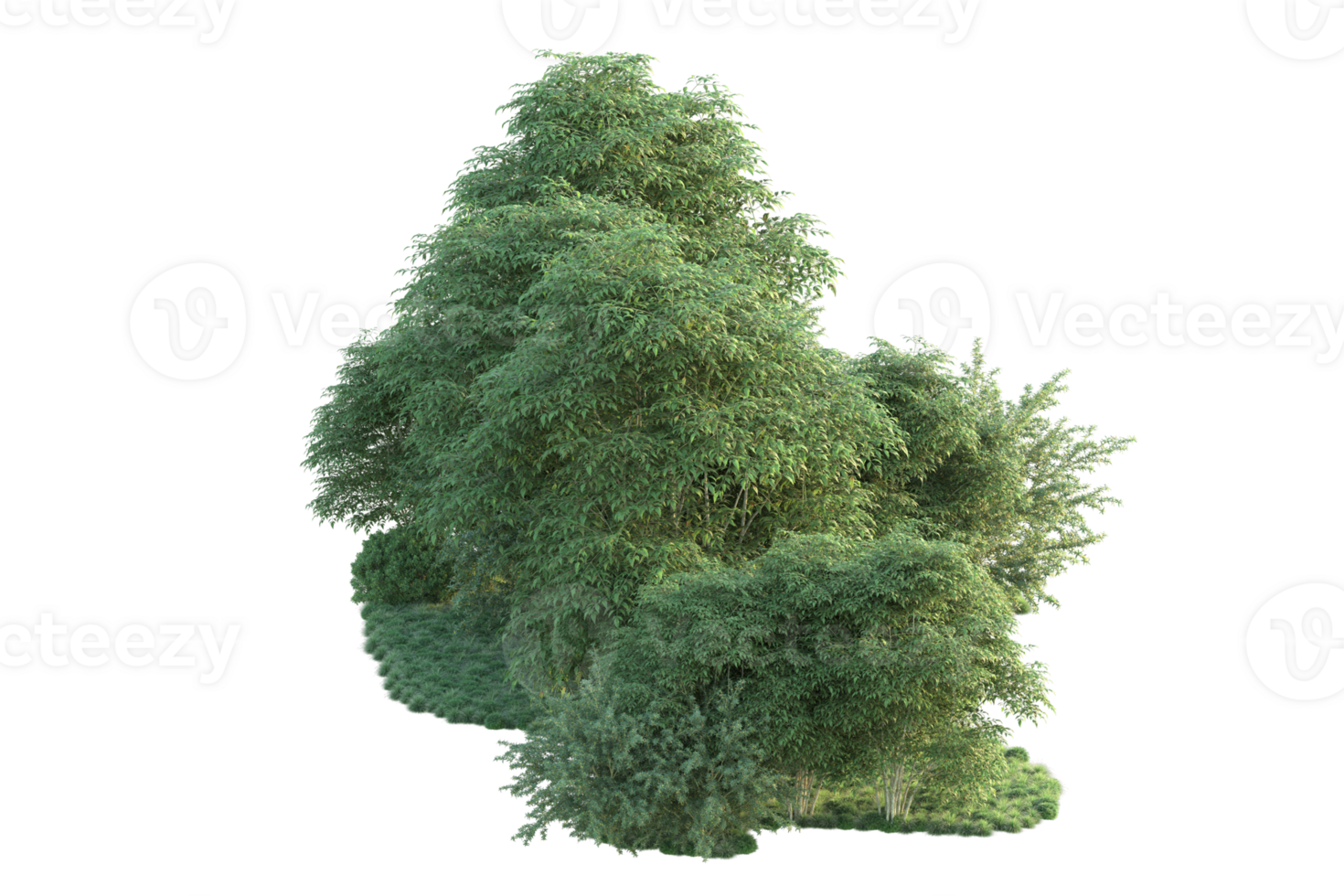 Tropical forest isolated on transparent background. 3d rendering - illustration png