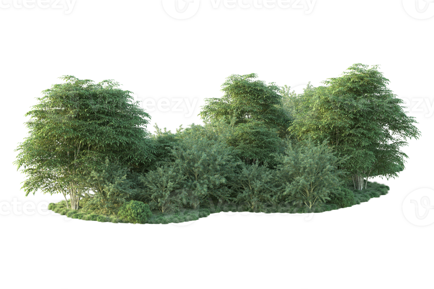 Tropical forest isolated on transparent background. 3d rendering - illustration png