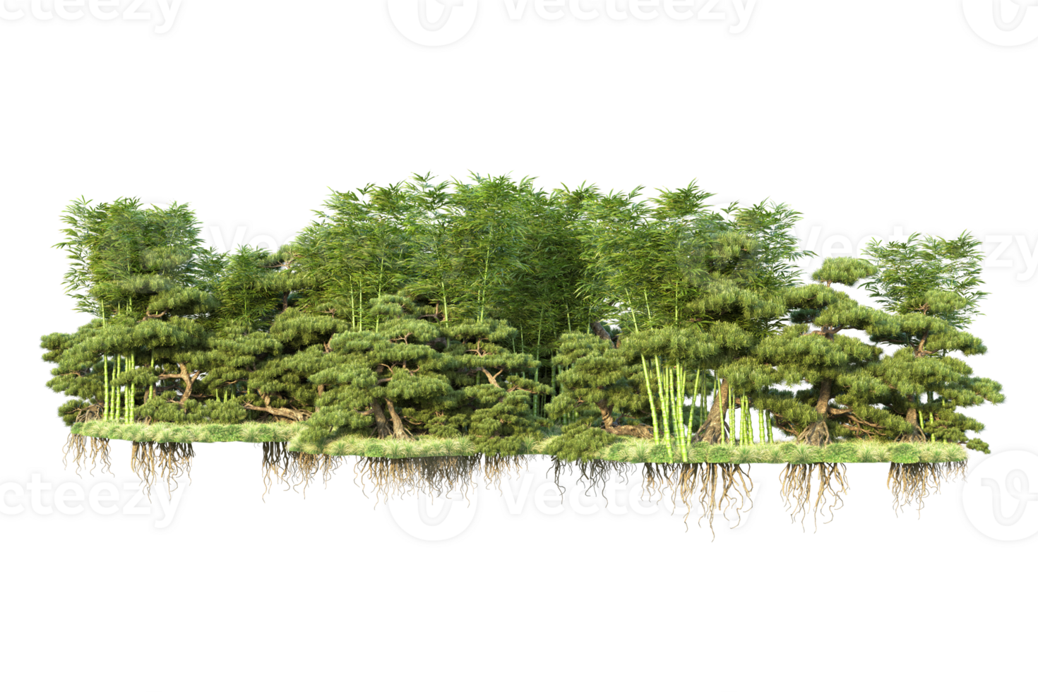Tropical forest isolated on transparent background. 3d rendering - illustration png