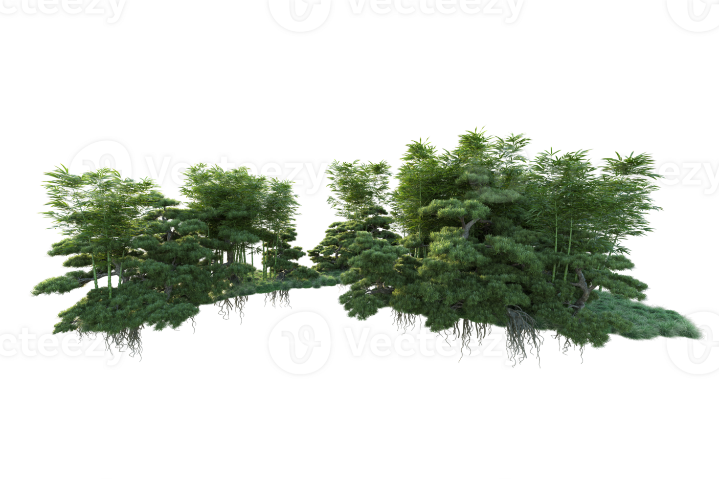 Tropical forest isolated on transparent background. 3d rendering - illustration png