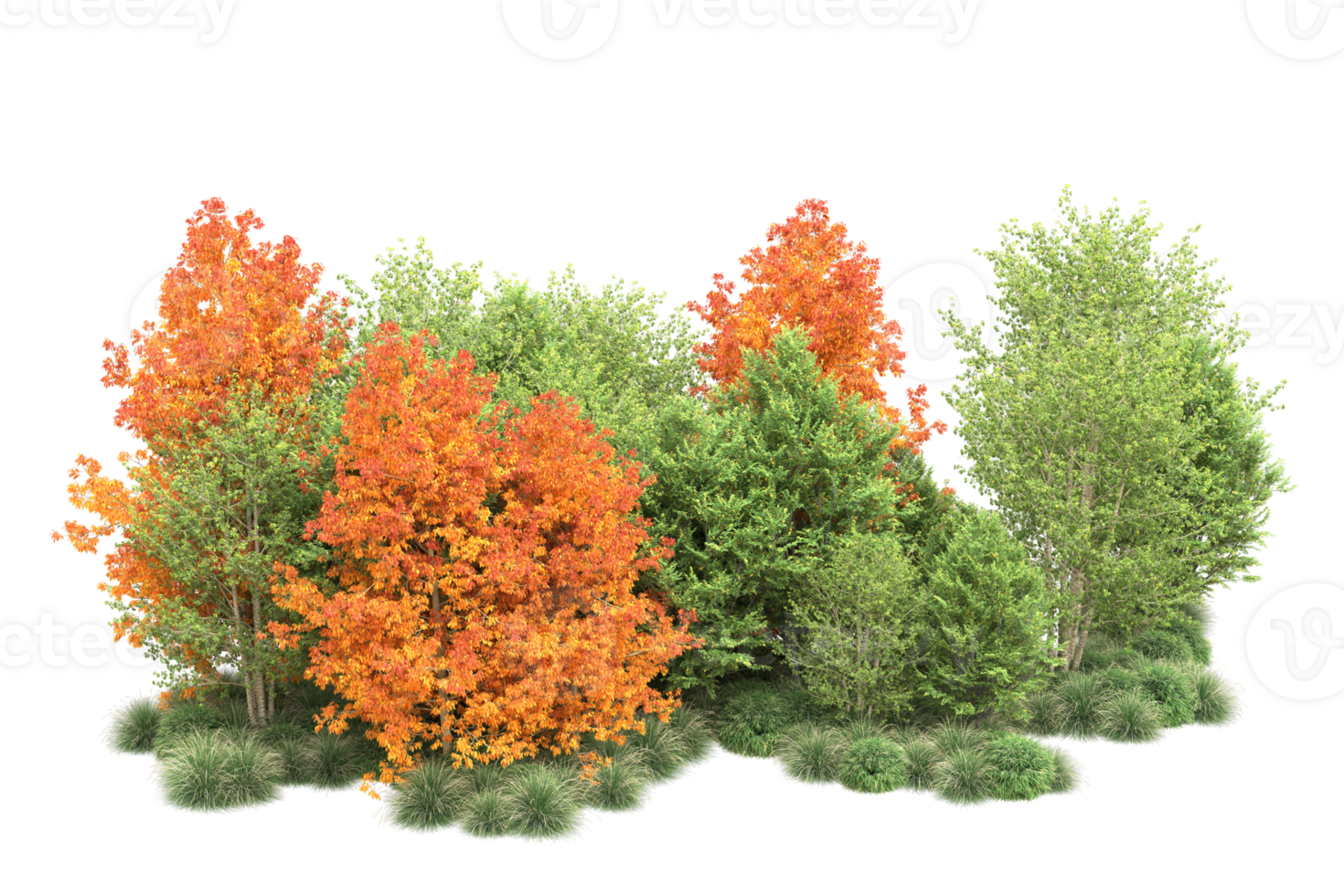 Tropical forest isolated on transparent background. 3d rendering - illustration png