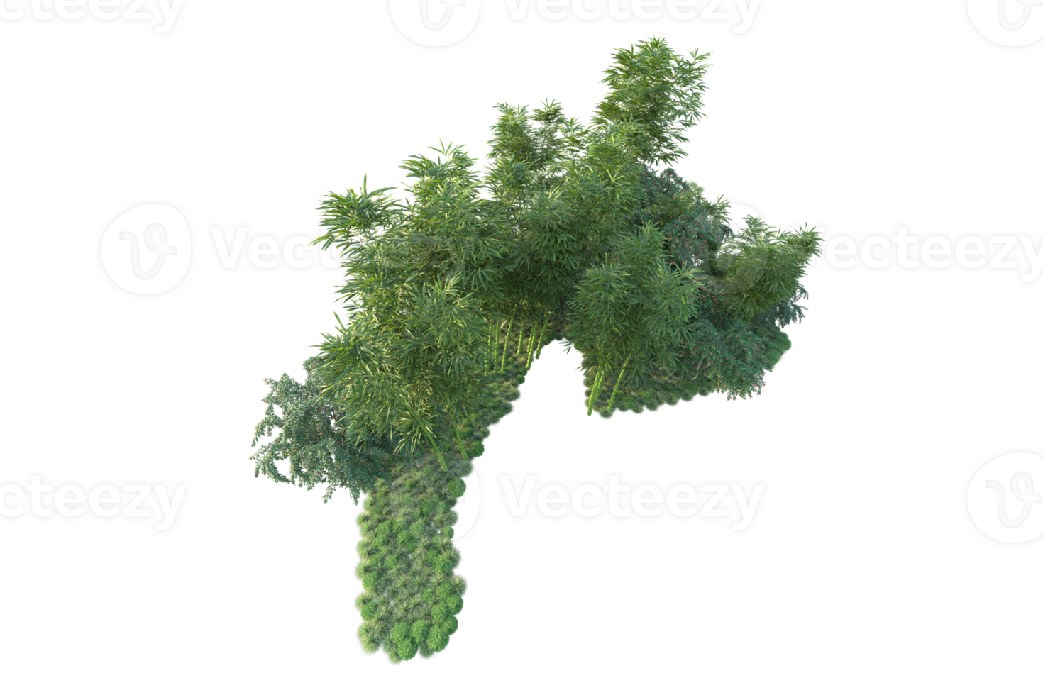 Tropical forest isolated on transparent background. 3d rendering - illustration png