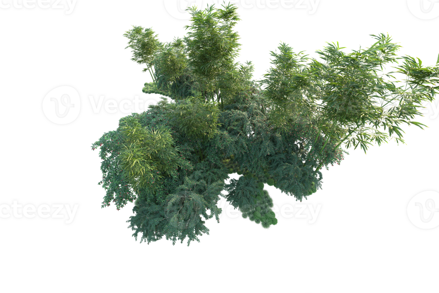 Tropical forest isolated on transparent background. 3d rendering - illustration png